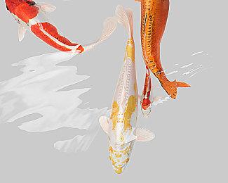 动作生存游戏《永恒天空》正式版延期至2025年初 合作模式年内上线